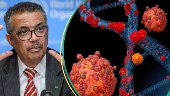 Cutar kyandar biri ta bulla Congo da wasu kasashen Afrika, WHO ta fitar da bidiyo