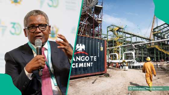 Dangote Group announces 11 new job vacancies, invites qualified Nigerians to apply