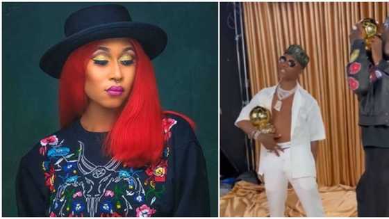 Na Grammy winners you won drag? Fans come for Cynthia Morgan as she criticises Burna Boy, Wizkid's new song