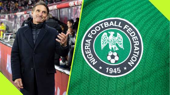 Super Eagles icon expresses concern over NFF’s appointment of Bruno Labbadia