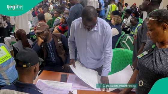 Adamawa LG elections: Voters allege exclusion, irregular voting at polling units