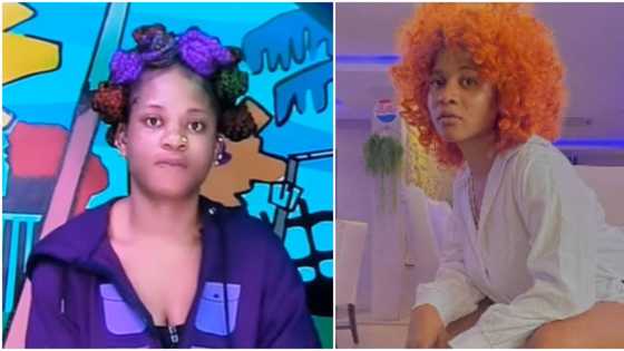 "She already thinks she'll win": Mixed reactions as Phyna begs Biggie to get her a dress for show finale