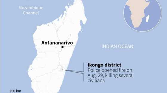 Madagascar police confirm killing 19 civilians after albino kidnap