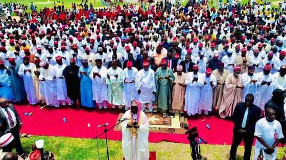 Makiya Kano Za Su yi Amfani da Kotu, A Tsige NNPP a Dawo da APC - Malamin Addinin Musulunci