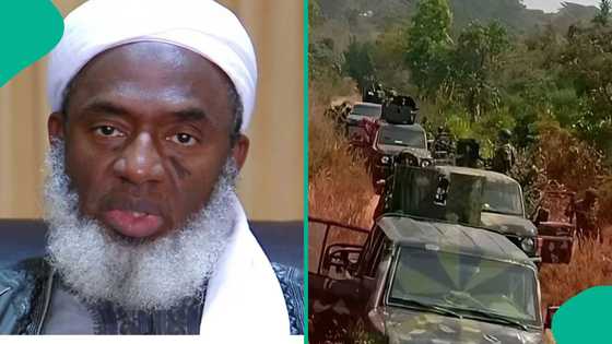 Sheikh Gumi mentions who should be sent to the forest to stop terrorists