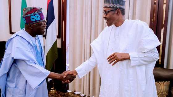 Introduce stimulus now, Nigerians are tired of fasting - Tinubu tells Buhari-led FG