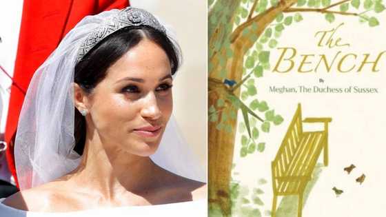 Meghan Markle set to release children's book about father-son relationships