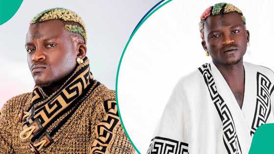 Portable decorates room with empty expensive alcohol bottles: "Dem go still use am break him head"