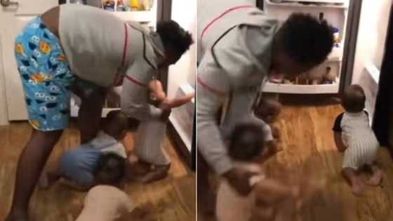 "This work is hard": Father sees his triplets crawling into fridge, battles with them in funny video