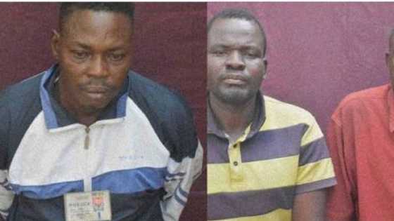 Boko Haram ta saki hotunan ɗan sanda da ma'aikatan gwamnati da ta sace a Borno