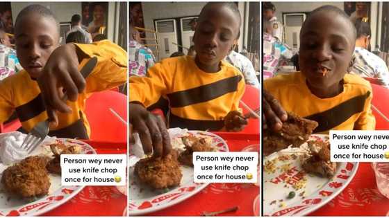 "He's a real cruise": Nigerian boy drops knife and fork after battling to eat like oyinbo, video goes viral