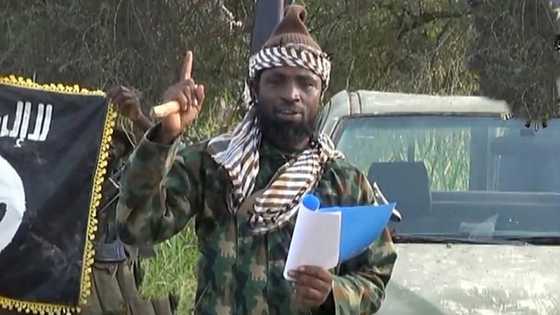 Abubakar Shekau dead? Nigerians react to unconfirmed reports about killing of factional Boko Haram leader