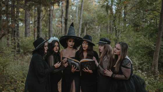 20 different types of witches: what sets them apart from one another?