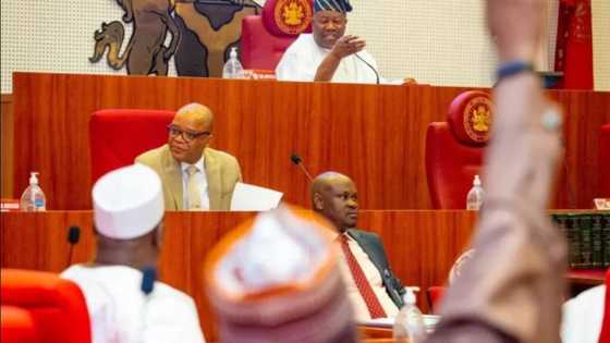 Senate begins screening of Tinubu's ministerial nominees: Live Updates