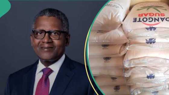 Kamfanin Dangote Zai Dauki Ma'aikata Dubu 300 Aiki, Ya Fadi Adadin da Ya Ke Dauka a Shekara