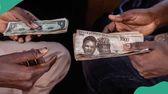 N1,600/$1: New exchange rate as Naira crashes against US dollar