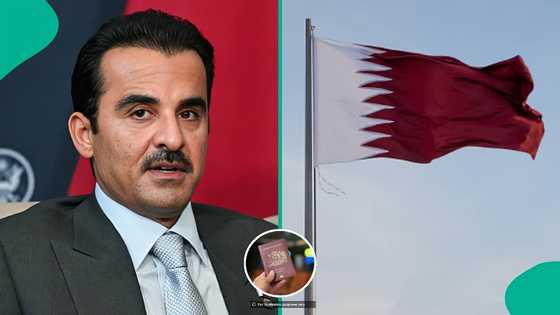 Qatar explains 1 thing foreigners can do 5 years after becoming Qatari citizens