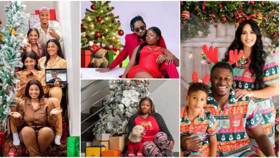 Mercy Eke, Phyna, Groovy, other BBNaija stars celebrate Christmas with beautiful photos, fans drool over them