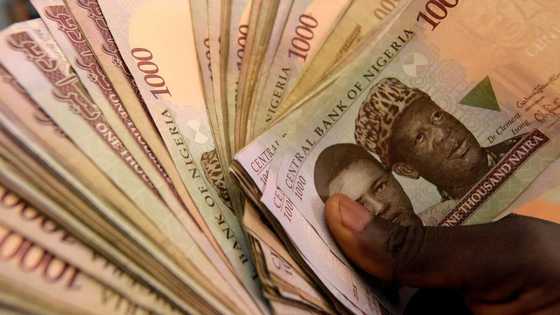 Naira Falls at Official Market, Stable at Parallel as Okonjo-Iweala Set to Meet CBN Boss