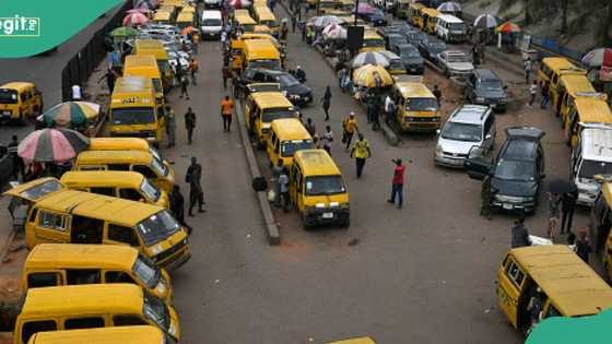 Transport cost to crash as Tinubu announces new subsidy for vehicle owners