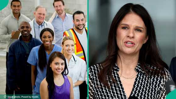 New Zealand publishes 5 sector-specific job websites for foreign workers