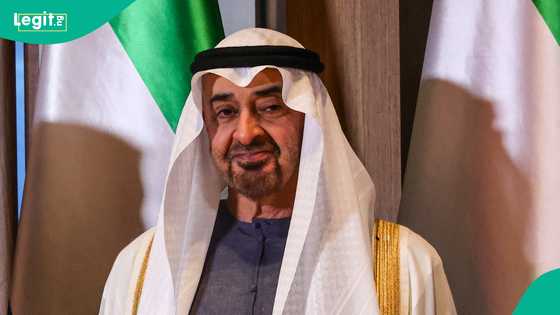 UAE Golden Residency: 10 conditions scientists and specialists must meet to qualify