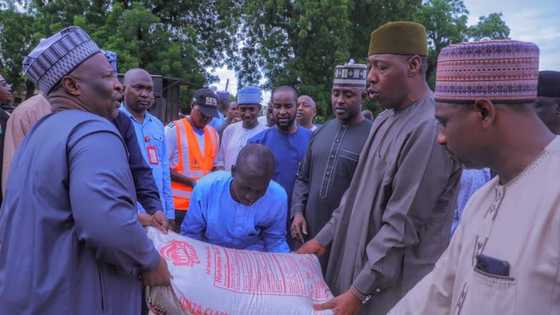 Cire Tallafin Man Fetur: Gwamna Zulum Ya Raba Buhuna 2,000 Na Shinkafa Ga Magidanta a Maiduguri