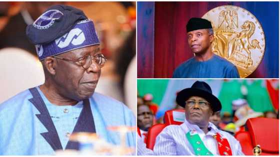 2023 presidency: Tinubu, Osinbajo, Atiku, others get troubling message from ex-senator
