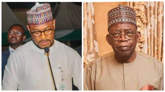 Wasu Garuruwan Arewa Sun Rubuta Wasiƙa, Sun Aika Ga Shugaba Tinubu da Gwamna 1 Kan 'Yan Bindiga