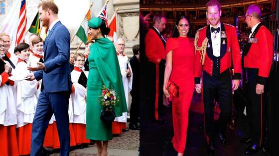 Meghan Markle and Prince Harry permanently resign from royal duties