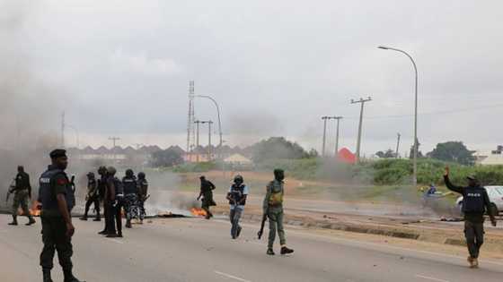 BREAKING: Armed bandits attack Ganduje's convoy in Zamfara state