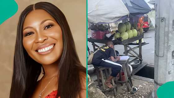 "Touching picture": Woman writes emotional post as she spots boy reading by roadside, story trends