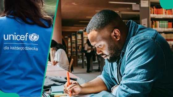 Work from home, earn in dollars: UNICEF launches remote internship with up to $1,700 monthly stipend