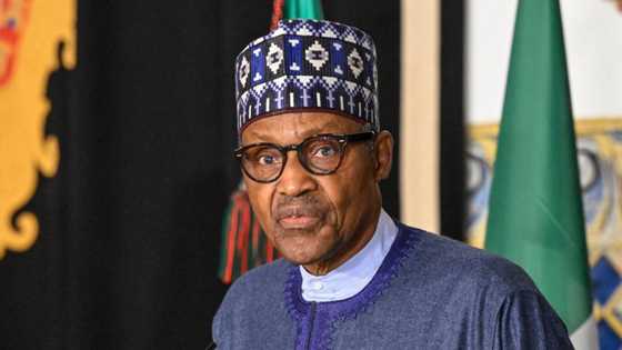Trouble ahead as World Bank predicts Nigeria’s economy will take major hit in 2023 and beyond