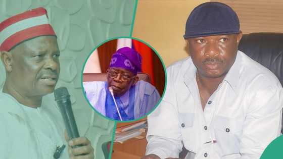 Kwanaki 3 bayan nasarar Kwankwaso a kotu, uban NNPP ya nemi hadin kai kan abu 1 game da Tinubu