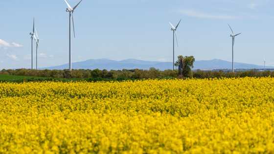 Spain's blackout highlights renewables' grid challenge