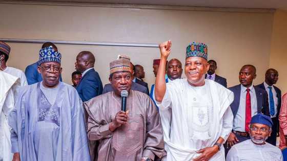 2023 presidency: Details emerge as Tinubu meets APC NWC members in Abuja