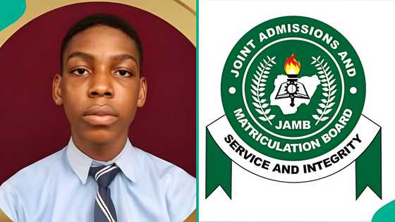 2026 UTME: Top scorer of Ogun State school scores over 340 out of 21 candidates, result trends