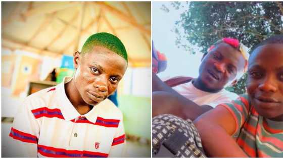 "Feed am, he lacks nutrient": Portable flaunts new artiste, fans unimpressed, advise he should learn handwork