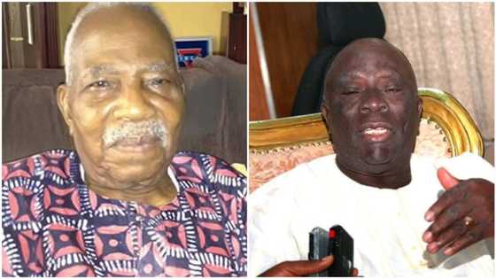 Fasoranti vs Adebanjo: Fresh update emerges as Tinubu/Peter Obi endorsements throw Afenifere into crisis