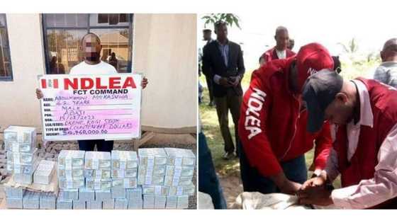 Man who wants to introduce fake $4.7 million into circulation arrested by NDLEA