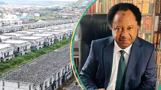 How Tinubu’s govt should share Emefiele's 753 duplexes, Shehu Sani explains