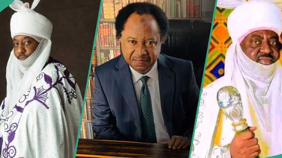 Shehu Sani ya kawo hanyar sasanta Aminu Ado da Sanusi II a wajen kotu