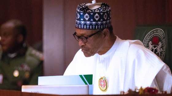 Opinion: My prayers for President Buhari by Brown Adeyemi