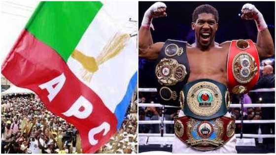 Anthony Joshua is perfect example of a true Nigerian - APC congratulates heavyweight champ