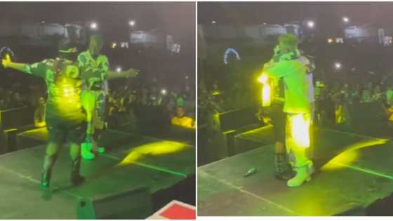 Omobetter concert: Small Doctor's jaw drops to the floor as Teni makes surprise appearance, fans go wild
