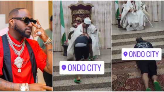 "Na money humble kneel down so": Davido prostrates, kneels as Ondo monarch rains blessings on him
