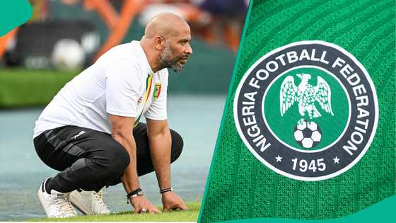 Eric Chelle's player selection plan for Super Eagles' FIFA World Cup qualifiers surfaces