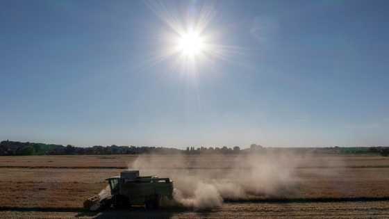 Fears for crops as drought hits northern Europe