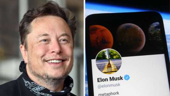 With one tweet, Elon Musk lost N3.83 trillion but with a smile since he is doing what is right
